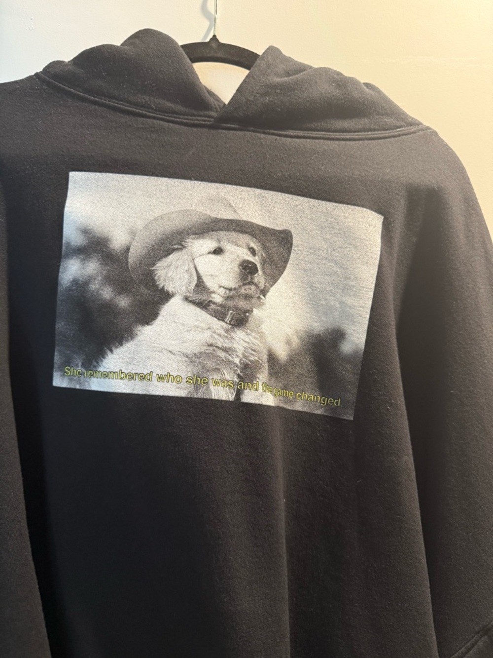 Dressed in LALA Cropped Hoodie-She Remembered Who She Was